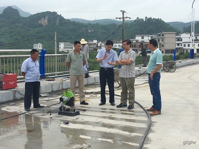 1498010999119761.jpg 图为李飞林局长听取施工进度情况.JPG